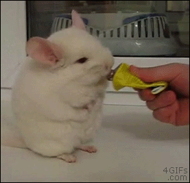 Клей