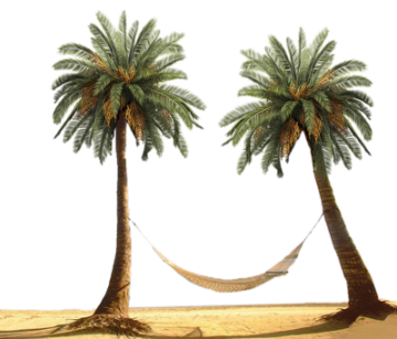 palm-tress-hammock-psd-450824