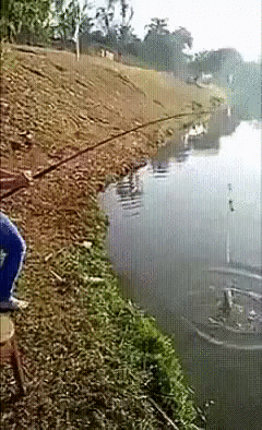 И РЫБА