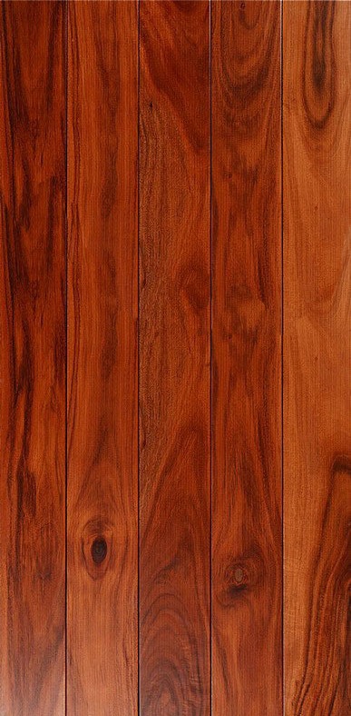 0_12d505_b98cdbb_orig