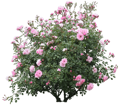 0_12d4f6_e407dbd0_orig