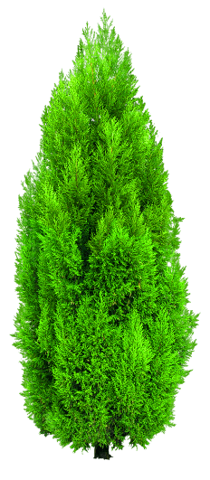 0_18eca7_8d3e3c79_orig