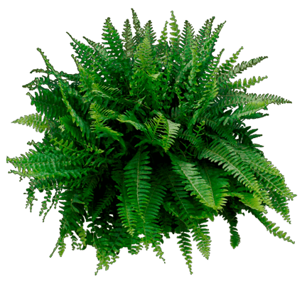 0_2b84f2_a3dc00e3_orig