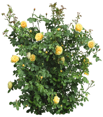 0_12d4f8_4ad87620_orig