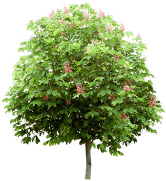 0_12d4f7_cd65d436_orig