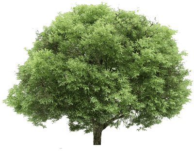 0_12d4ff_7f3358d7_orig