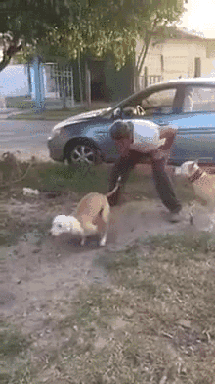 Takuyu_za_zaborom_ne_podraznish