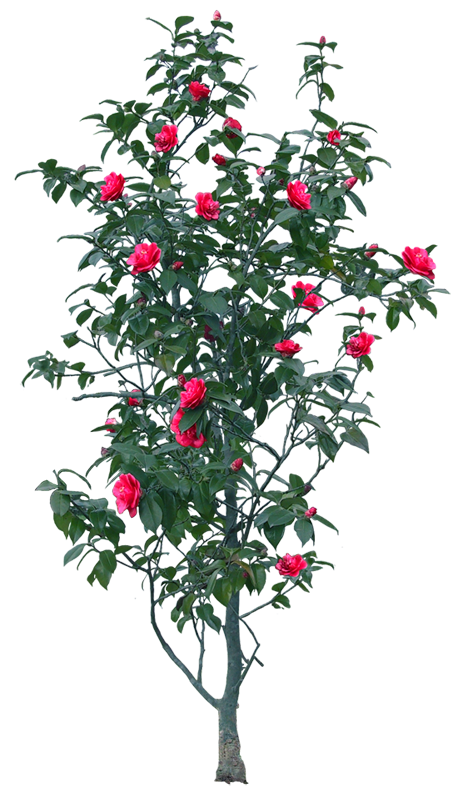 0_12d3ee_27c1f2f4_orig