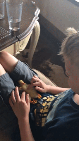 ezgif.com-video-to-gif (8)