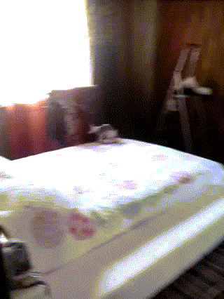 2 Личный чупакабра