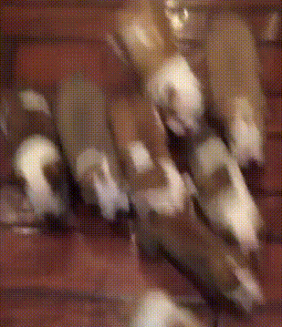 12 Папе нужен отдых