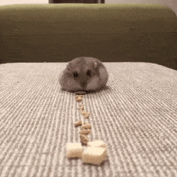 Как пылесос