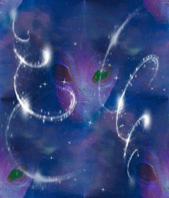 237 Они рядом