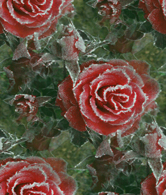 249 Какие выбрать маме