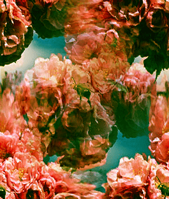 258 Девочка и бабочки