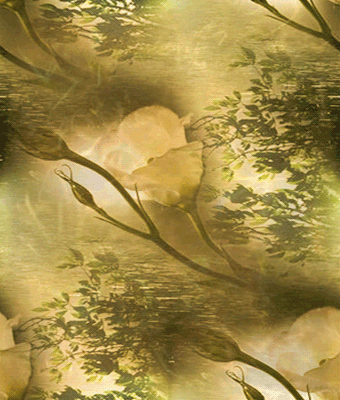 273 Эта жара!!!