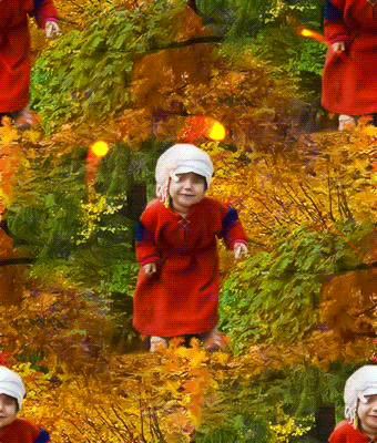 323 Идите по   дорожке