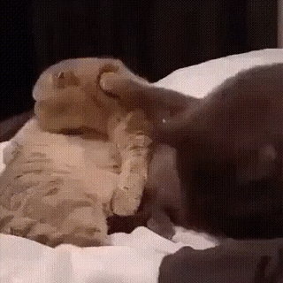 Васькина радость