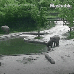 Вот это родители