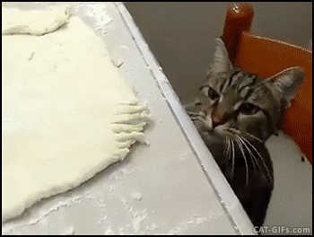 6ed9fe2949cc88590bf9cb434ec2a429