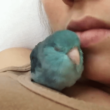 Петруша хороший