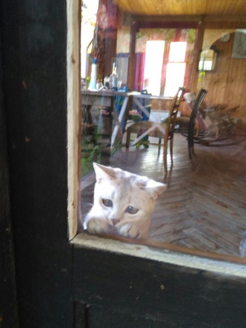 WhatsApp Image 2017-10-10 at 23.18.31