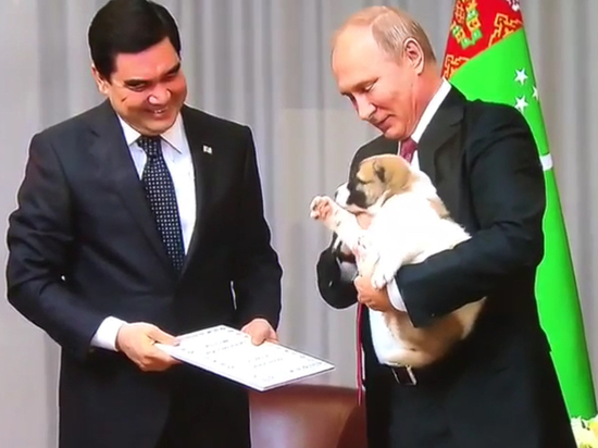 dab4c0ae51e99f51578730ded68be629