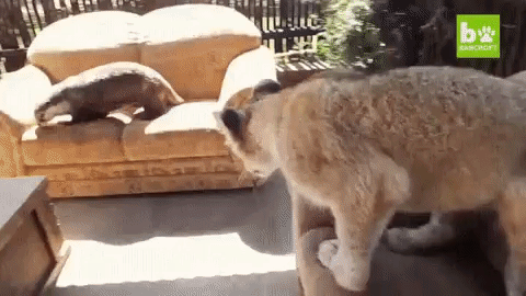 5fd11f3b545904c633fb2a6a7146f19a