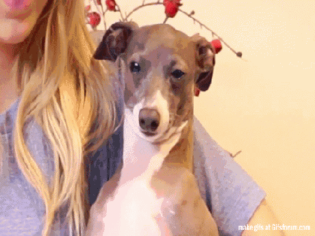 gifs_06