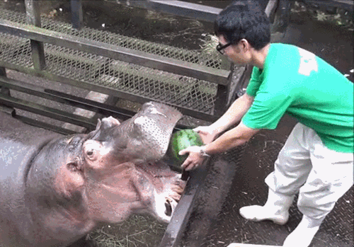 gifs_07