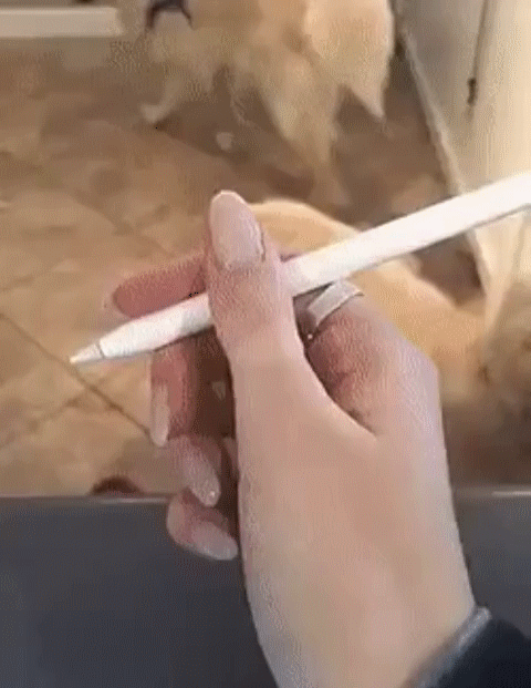 фас