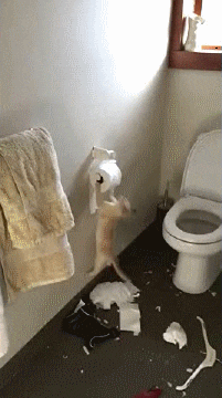 406898c788e16d2378083c86c6ffd0a0