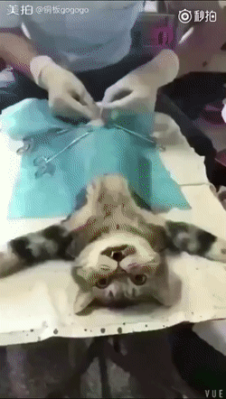 Строго 21+