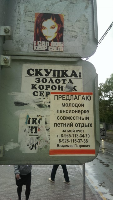 IMAG5433