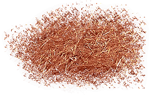 soloma