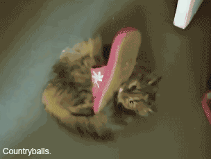 Играл с тапком. Проиграл.