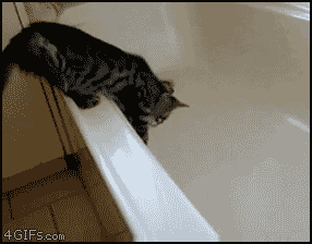 4feab13b3622f04c42692ea403460d6a