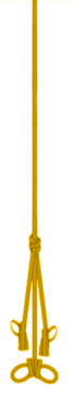 vr