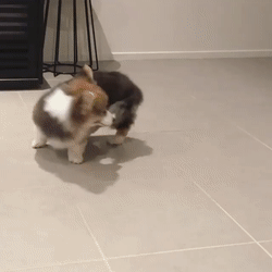 Всё! Пошли спать!