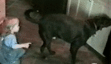 Down-House.ru_1276513401_gifki_03457936
