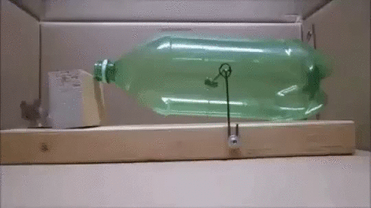 Ловушка для мышей
