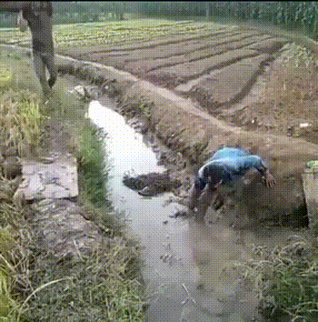 кан