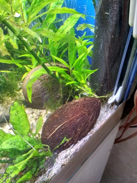 IMG_20171105_175209_HDR