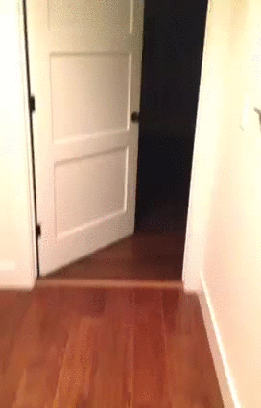 -гифки-неловкий-момент-песочница-2147060 (1)