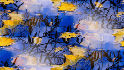 Анимированные Бесшовные фоны