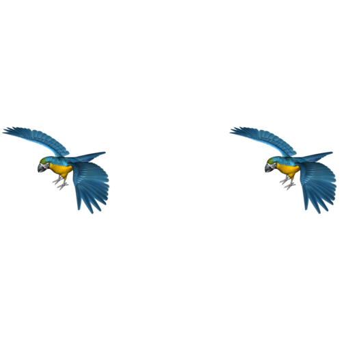 0_a7adf_8d95dbb3_L[1]