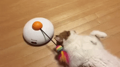 нам всёравно