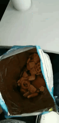 animals-on-a-plane-8-59f17b7207606__605