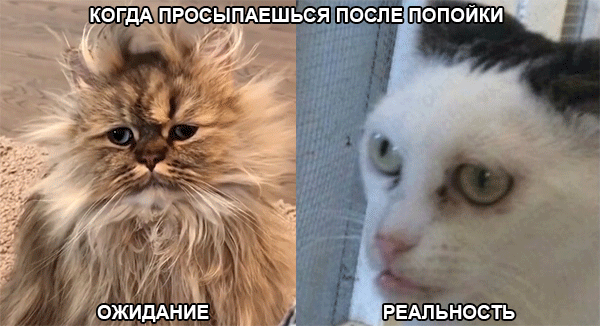 после попойки