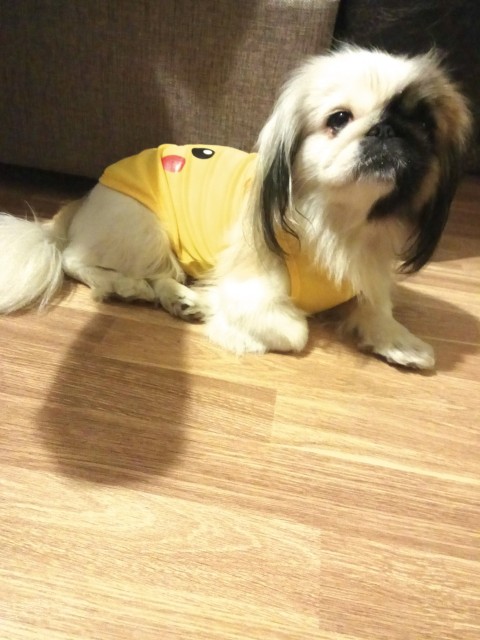 IMG_20170929_201530_HHT